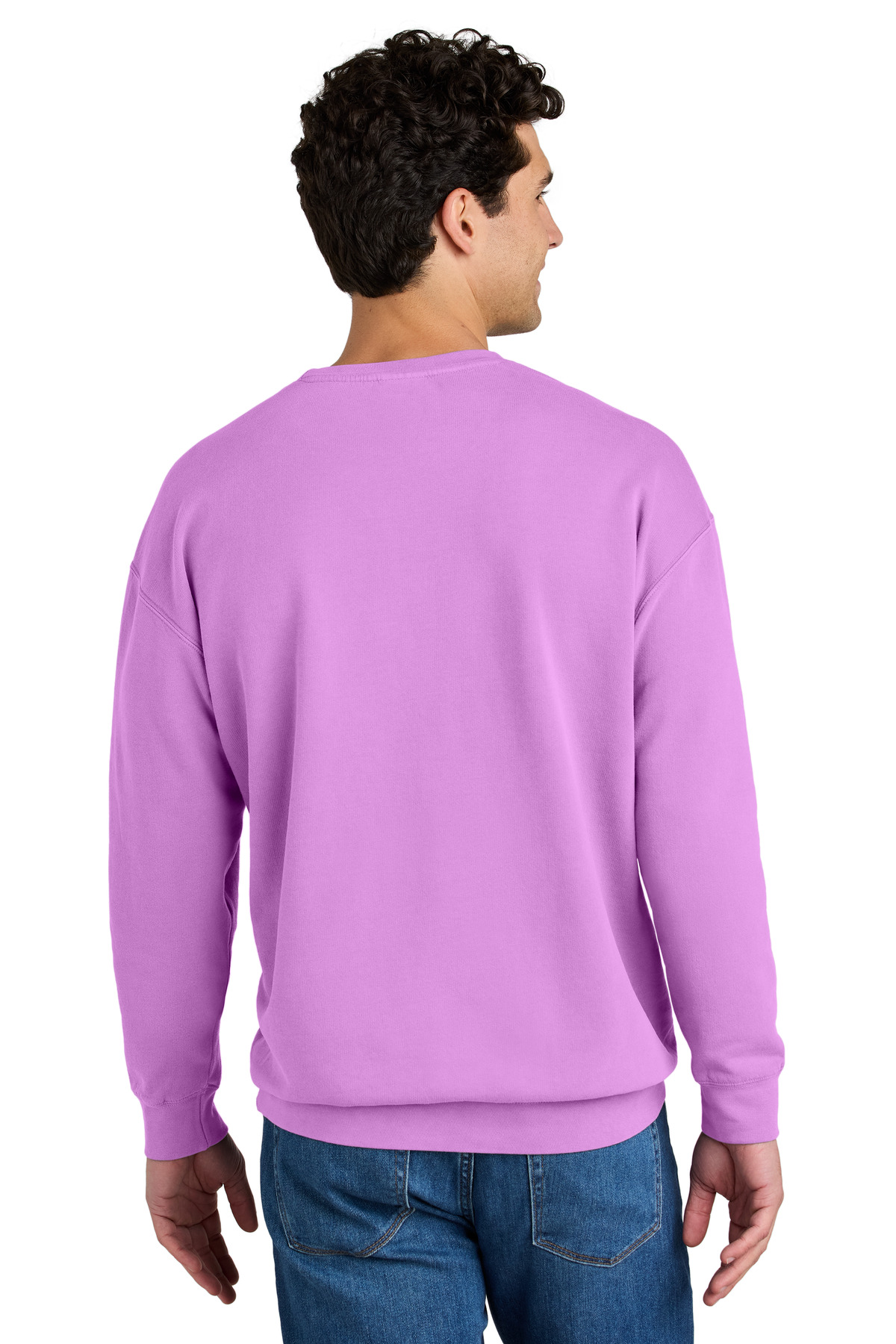 Comfort Colors Lightweight Crewneck Sweatshirt back view