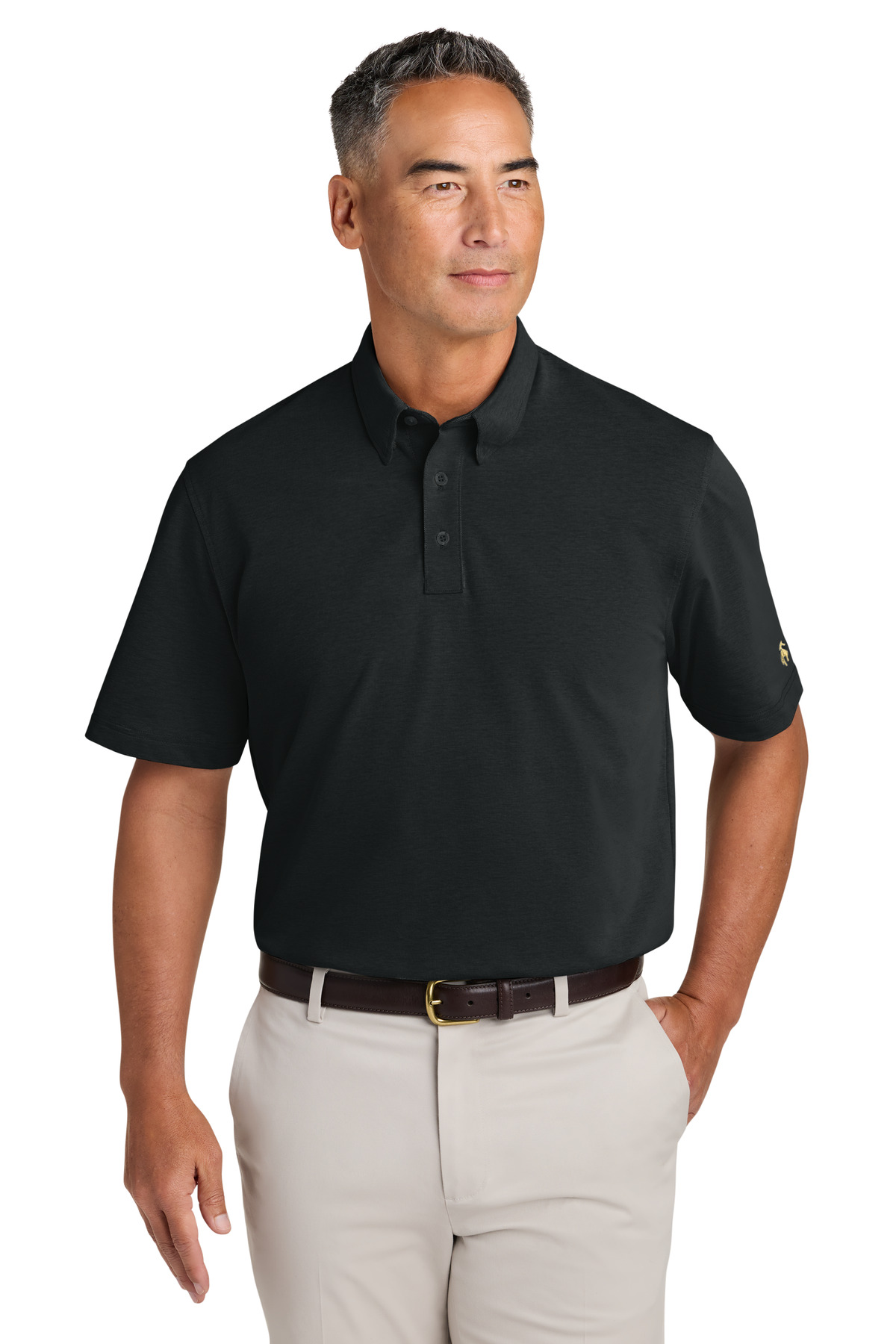 Brooks Brothers BB18222 — Brooks Brothers Pinpoint Pique Dress Polo BB18222