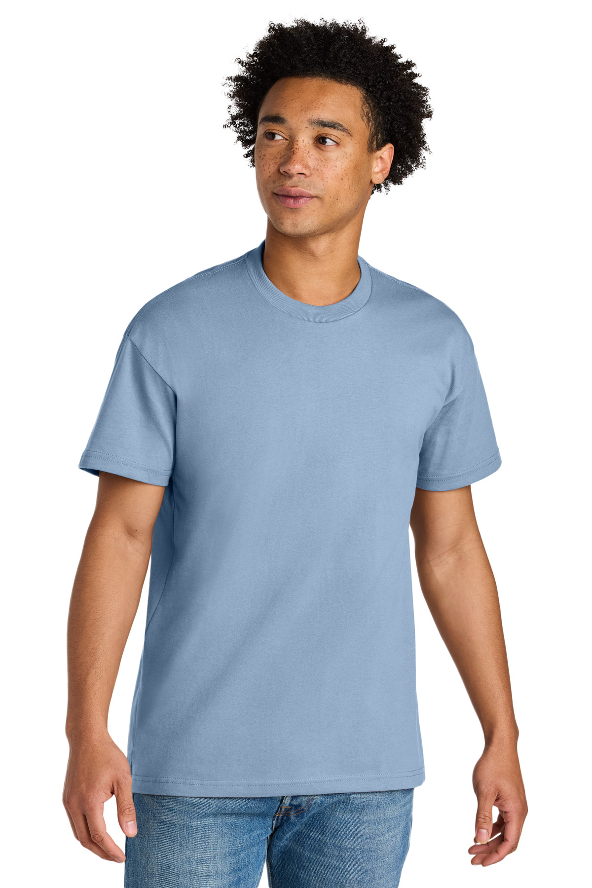 Next Level Apparel Heavyweight Tee NL7200