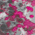 color swatch